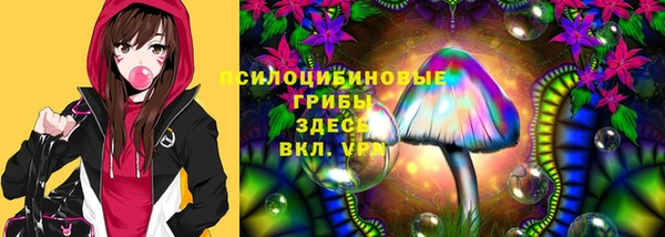 эйфоретик Алексин